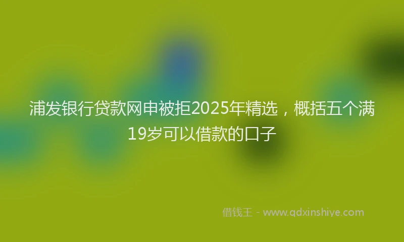 浦发银行贷款网申被拒2025年精选，概括五个满19岁可以借款的口子