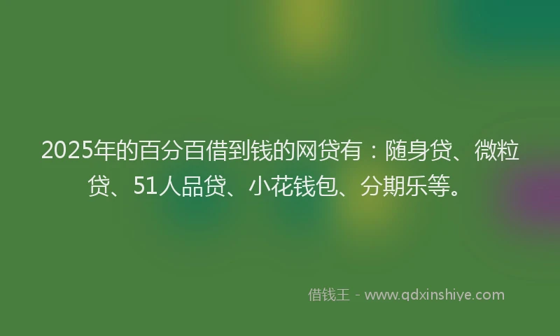 2025年的百分百借到钱的网贷有：随身贷、微粒贷、51人品贷、小花钱包、分期乐等。