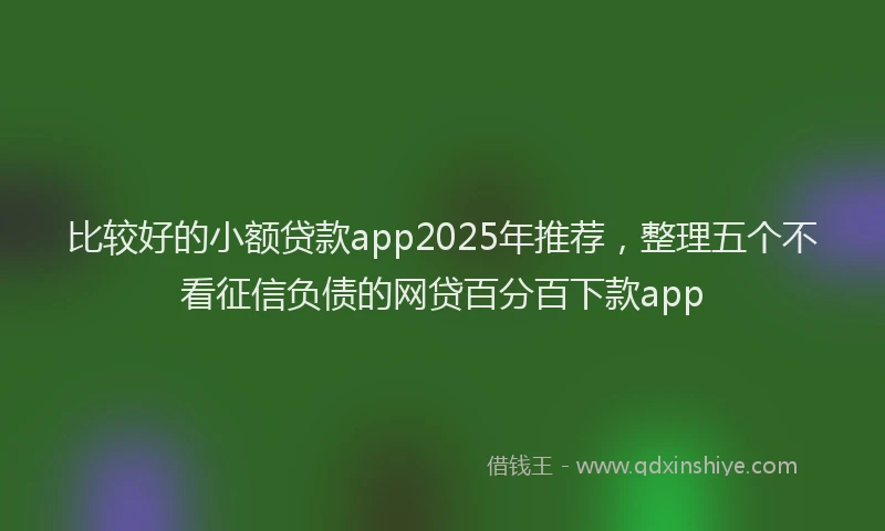 比较好的小额贷款app2025年推荐，整理五个不看征信负债的网贷百分百下款app