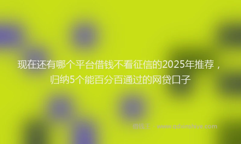 现在还有哪个平台借钱不看征信的2025年推荐，归纳5个能百分百通过的网贷口子