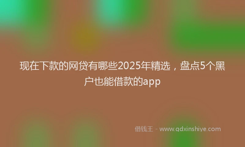 现在下款的网贷有哪些2025年精选，盘点5个黑户也能借款的app