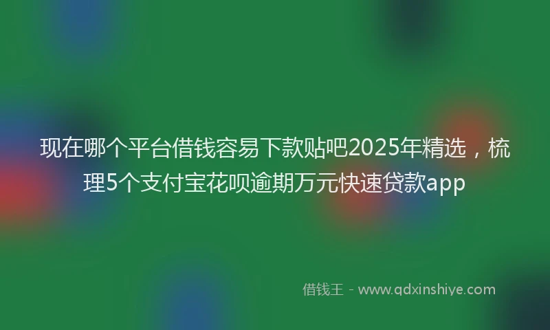 现在哪个平台借钱容易下款贴吧2025年精选，梳理5个支付宝花呗逾期万元快速贷款app