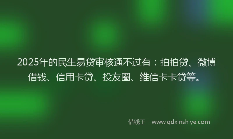 2025年的民生易贷审核通不过有：拍拍贷、微博借钱、信用卡贷、投友圈、维信卡卡贷等。