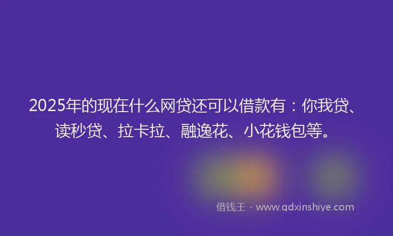 2025年的现在什么网贷还可以借款有：你我贷、读秒贷、拉卡拉、融逸花、小花钱包等。