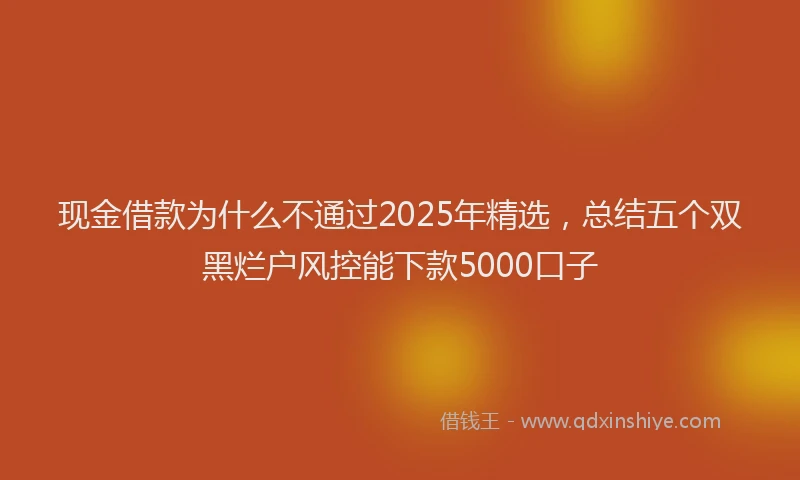 现金借款为什么不通过2025年精选，总结五个双黑烂户风控能下款5000口子