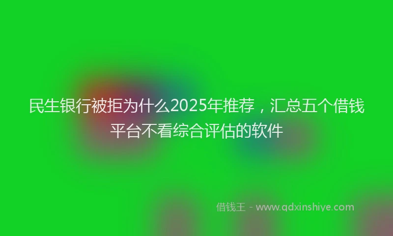 民生银行被拒为什么2025年推荐，汇总五个借钱平台不看综合评估的软件