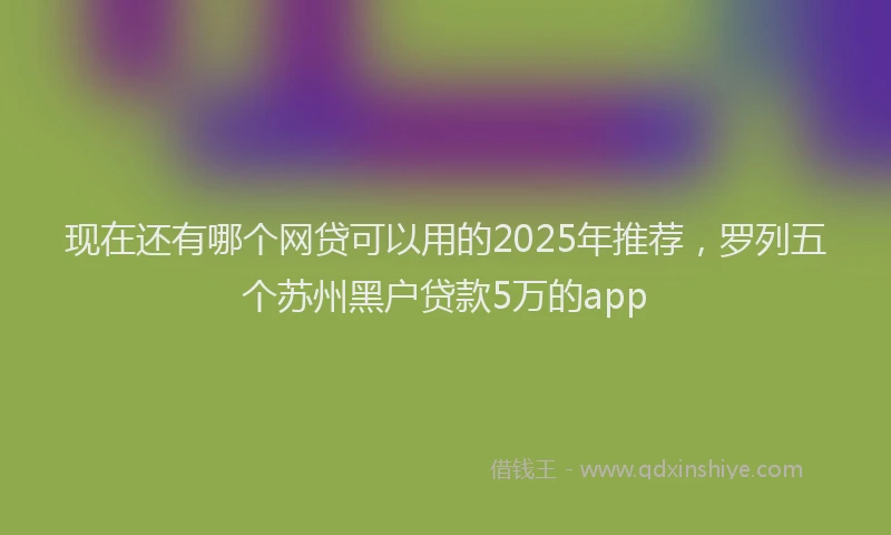 现在还有哪个网贷可以用的2025年推荐，罗列五个苏州黑户贷款5万的app