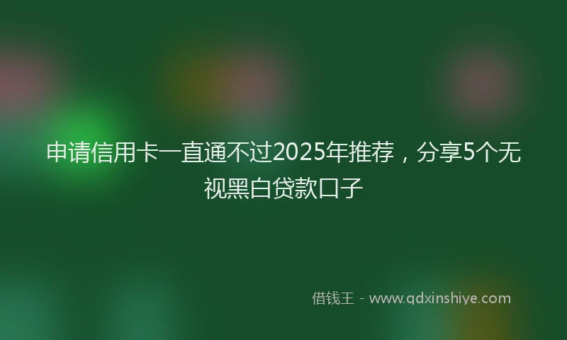申请信用卡一直通不过2025年推荐，分享5个无视黑白贷款口子