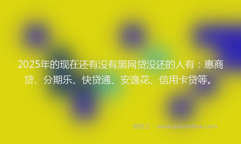 2025年的现在还有没有黑网贷没还的人有：惠商贷、分期乐、快贷通、安逸花、信用卡贷等。
