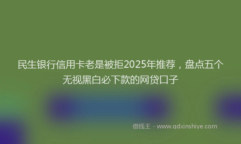民生银行信用卡老是被拒2025年推荐，盘点五个无视黑白必下款的网贷口子