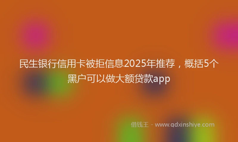 民生银行信用卡被拒信息2025年推荐，概括5个黑户可以做大额贷款app