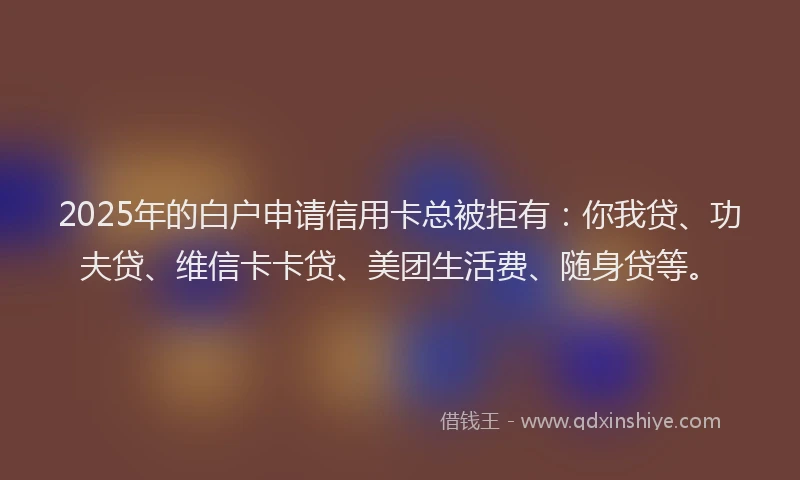 2025年的白户申请信用卡总被拒有：你我贷、功夫贷、维信卡卡贷、美团生活费、随身贷等。