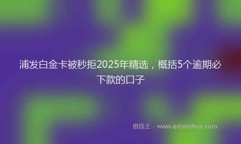 浦发白金卡被秒拒2025年精选，概括5个逾期必下款的口子