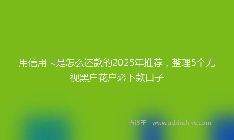 用信用卡是怎么还款的2025年推荐，整理5个无视黑户花户必下款口子