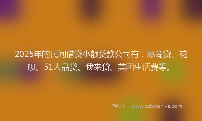 2025年的民间借贷小额贷款公司有：惠商贷、花呗、51人品贷、我来贷、美团生活费等。
