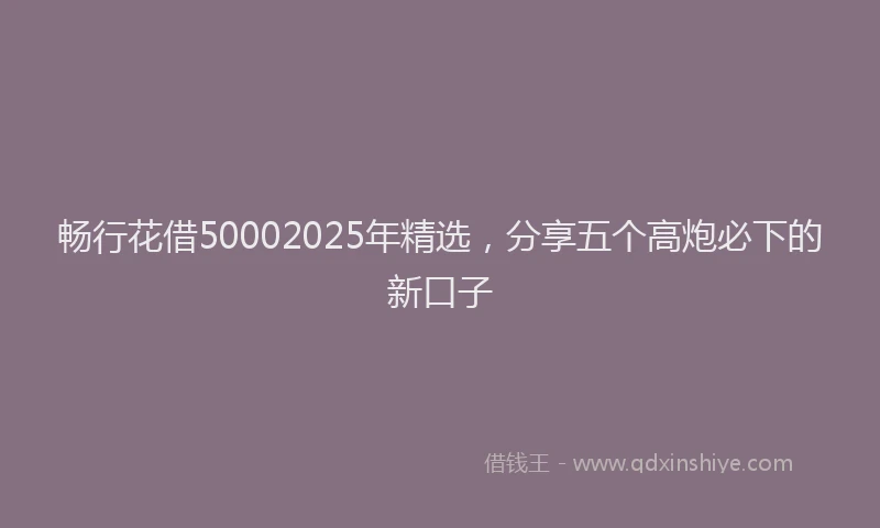 畅行花借50002025年精选，分享五个高炮必下的新口子