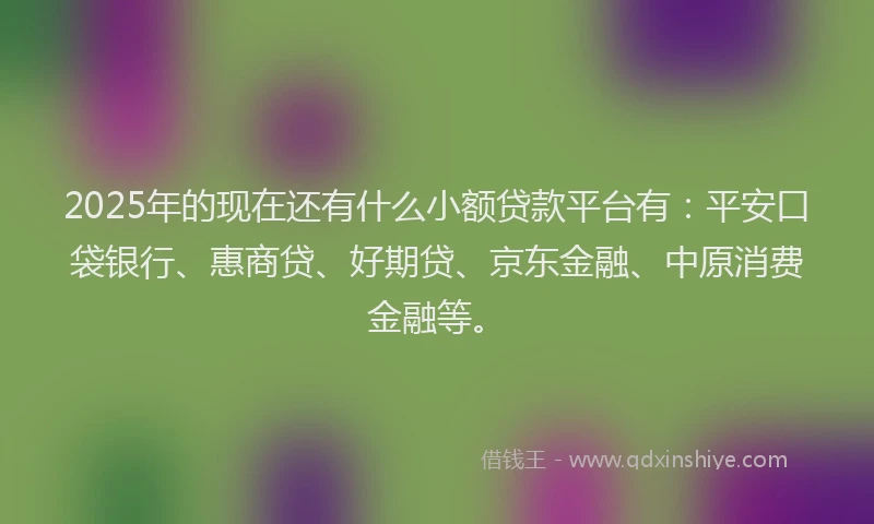 2025年的现在还有什么小额贷款平台有：平安口袋银行、惠商贷、好期贷、京东金融、中原消费金融等。