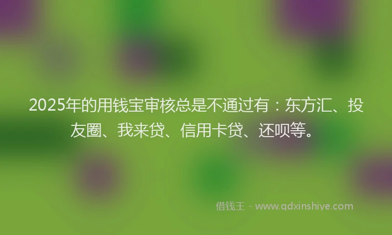 2025年的用钱宝审核总是不通过有：东方汇、投友圈、我来贷、信用卡贷、还呗等。