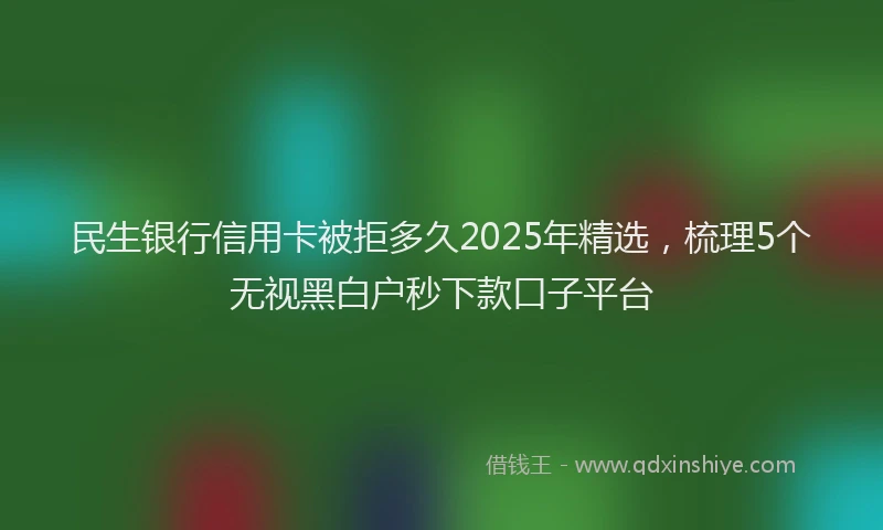 民生银行信用卡被拒多久2025年精选，梳理5个无视黑白户秒下款口子平台
