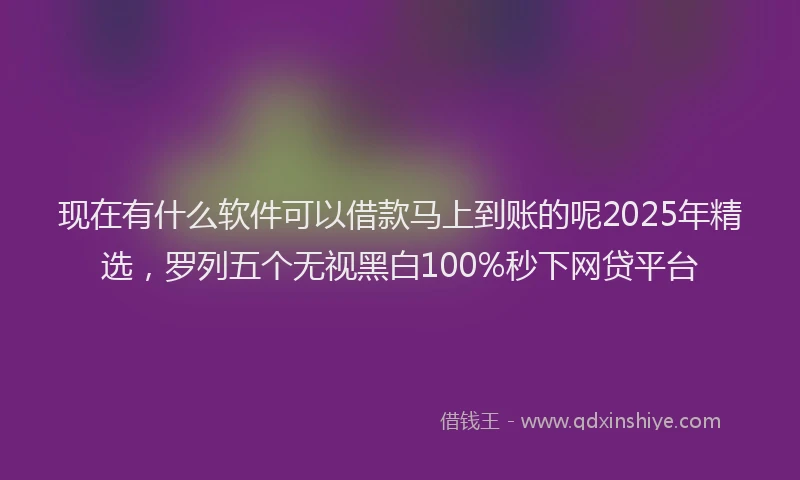 现在有什么软件可以借款马上到账的呢2025年精选，罗列五个无视黑白100%秒下网贷平台