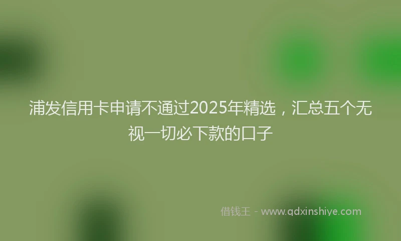 浦发信用卡申请不通过2025年精选，汇总五个无视一切必下款的口子