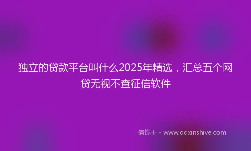 独立的贷款平台叫什么2025年精选，汇总五个网贷无视不查征信软件