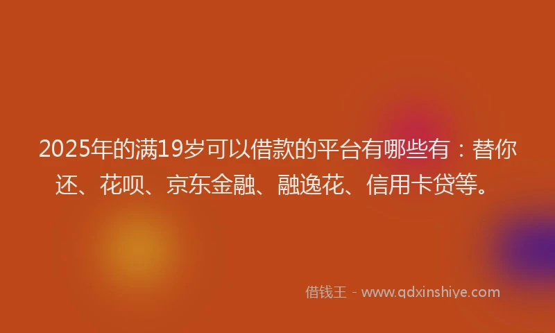 2025年的满19岁可以借款的平台有哪些有：替你还、花呗、京东金融、融逸花、信用卡贷等。