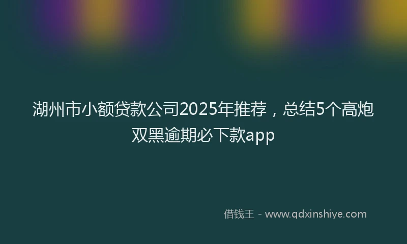 湖州市小额贷款公司2025年推荐，总结5个高炮双黑逾期必下款app