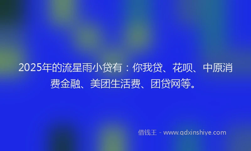 2025年的流星雨小贷有：你我贷、花呗、中原消费金融、美团生活费、团贷网等。