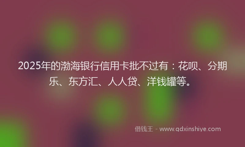 2025年的渤海银行信用卡批不过有：花呗、分期乐、东方汇、人人贷、洋钱罐等。