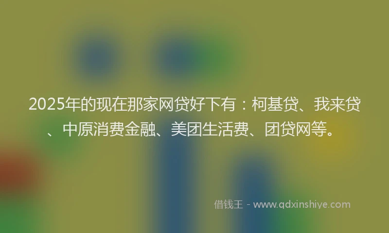 2025年的现在那家网贷好下有：柯基贷、我来贷、中原消费金融、美团生活费、团贷网等。