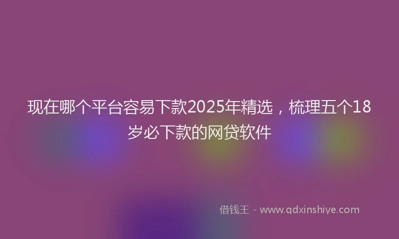 现在哪个平台容易下款2025年精选，梳理五个18岁必下款的网贷软件