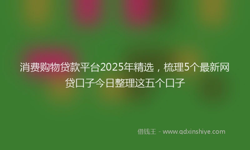消费购物贷款平台2025年精选，梳理5个最新网贷口子今日整理这五个口子