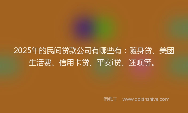 2025年的民间贷款公司有哪些有：随身贷、美团生活费、信用卡贷、平安i贷、还呗等。