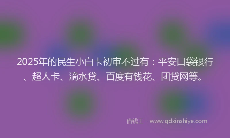 2025年的民生小白卡初审不过有：平安口袋银行、超人卡、滴水贷、百度有钱花、团贷网等。