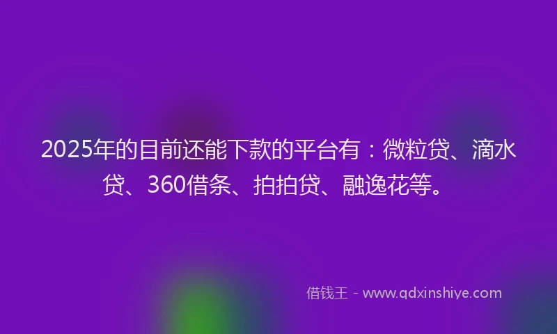 2025年的目前还能下款的平台有：微粒贷、滴水贷、360借条、拍拍贷、融逸花等。