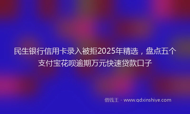 民生银行信用卡录入被拒2025年精选，盘点五个支付宝花呗逾期万元快速贷款口子