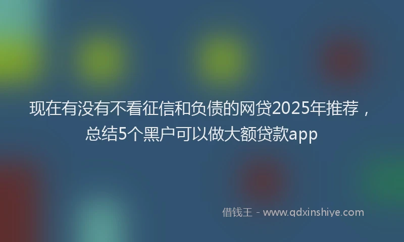 现在有没有不看征信和负债的网贷2025年推荐，总结5个黑户可以做大额贷款app
