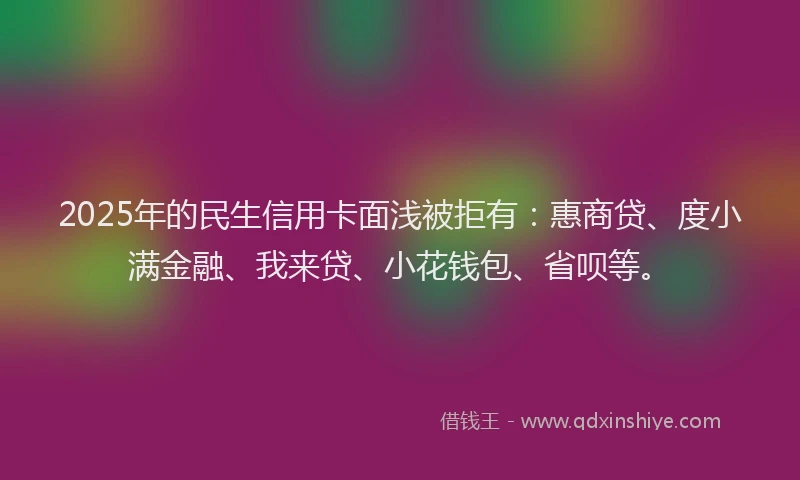 2025年的民生信用卡面浅被拒有：惠商贷、度小满金融、我来贷、小花钱包、省呗等。