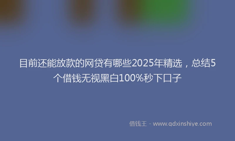 目前还能放款的网贷有哪些2025年精选，总结5个借钱无视黑白100%秒下口子