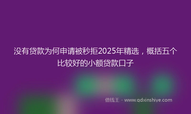 没有贷款为何申请被秒拒2025年精选，概括五个比较好的小额贷款口子