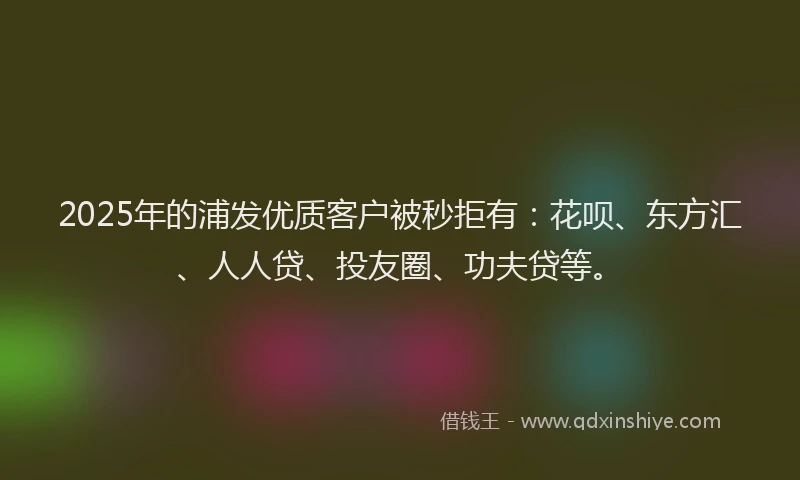 2025年的浦发优质客户被秒拒有：花呗、东方汇、人人贷、投友圈、功夫贷等。
