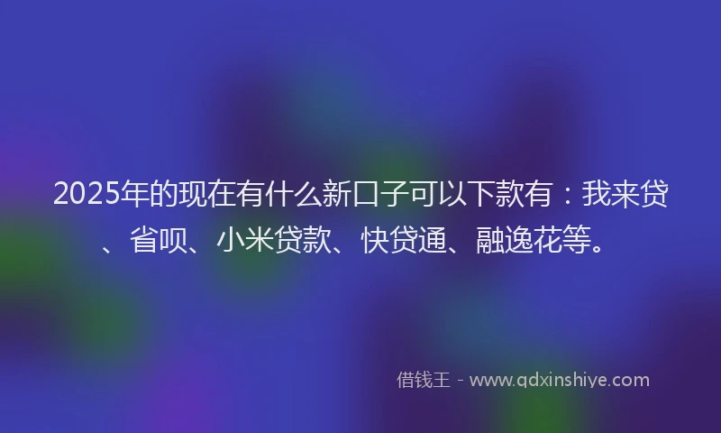 2025年的现在有什么新口子可以下款有：我来贷、省呗、小米贷款、快贷通、融逸花等。