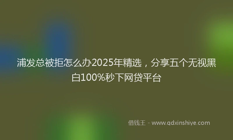 浦发总被拒怎么办2025年精选，分享五个无视黑白100%秒下网贷平台