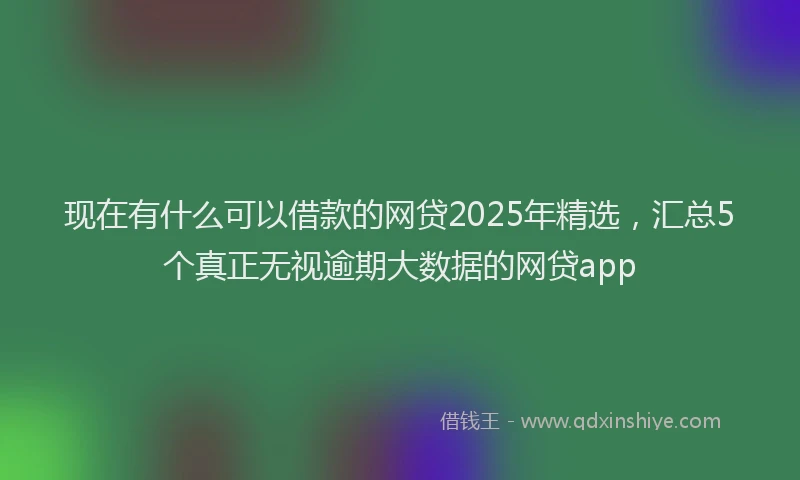 现在有什么可以借款的网贷2025年精选，汇总5个真正无视逾期大数据的网贷app