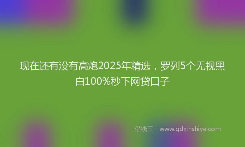 现在还有没有高炮2025年精选，罗列5个无视黑白100%秒下网贷口子