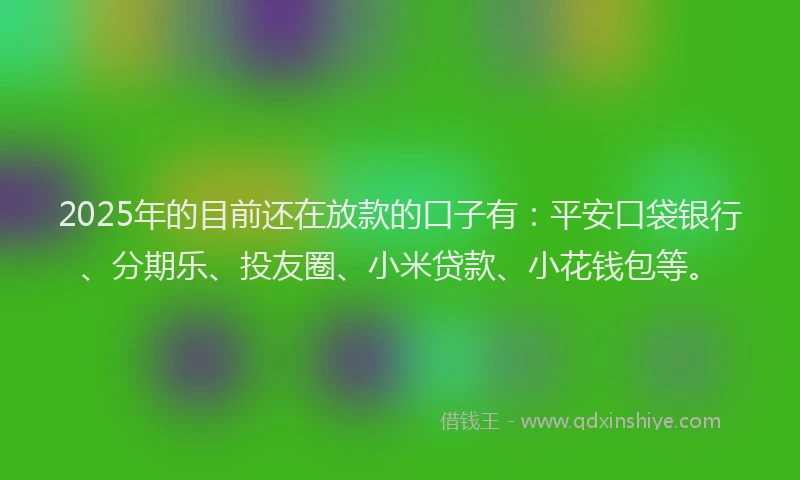 2025年的目前还在放款的口子有：平安口袋银行、分期乐、投友圈、小米贷款、小花钱包等。
