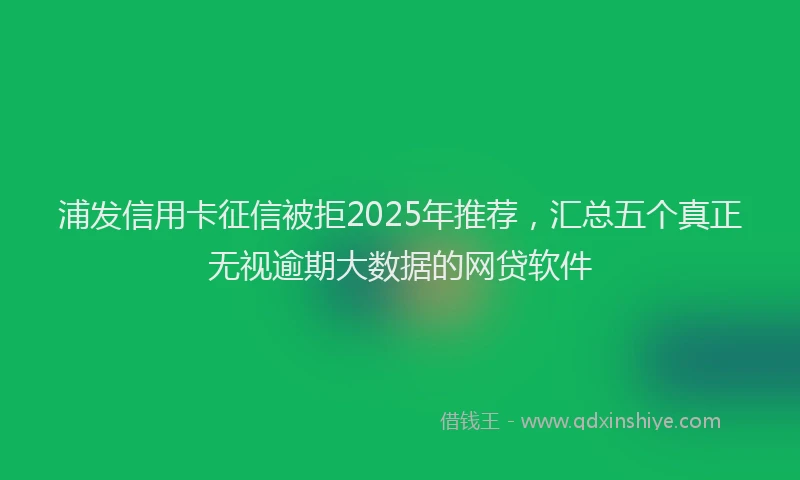 浦发信用卡征信被拒2025年推荐，汇总五个真正无视逾期大数据的网贷软件