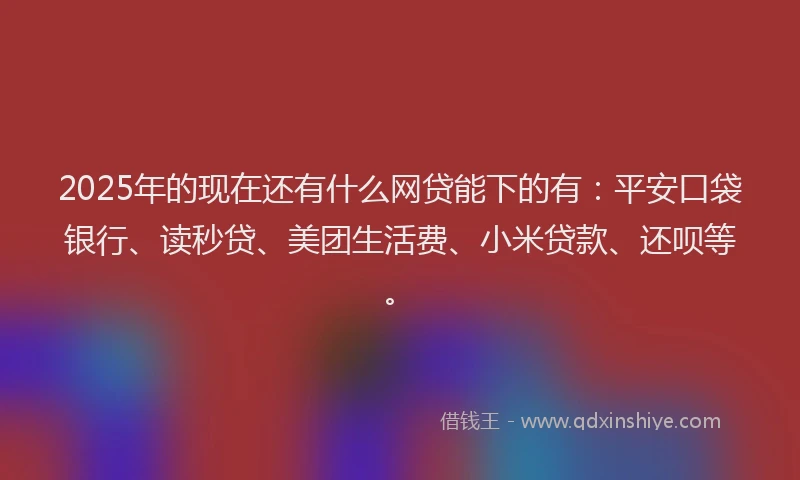 2025年的现在还有什么网贷能下的有：平安口袋银行、读秒贷、美团生活费、小米贷款、还呗等。