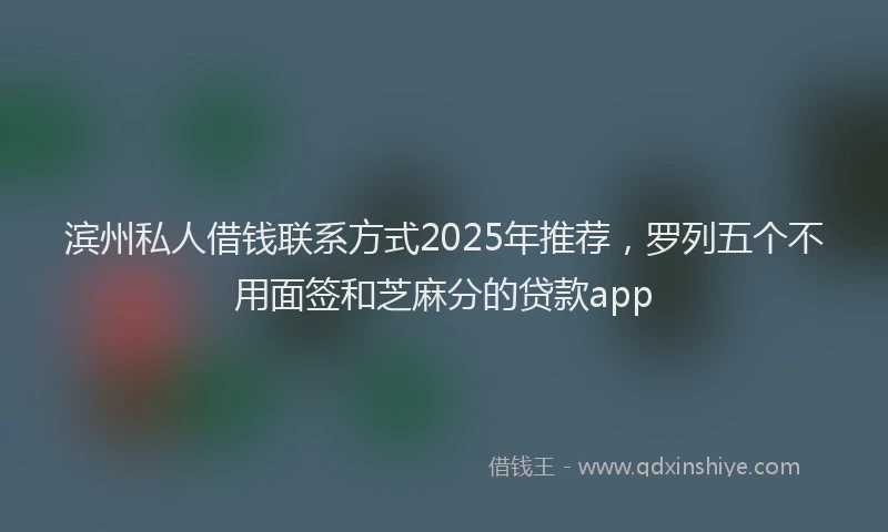 滨州私人借钱联系方式2025年推荐，罗列五个不用面签和芝麻分的贷款app